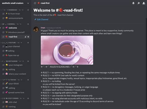 Aesthetic Introduction Template Discord